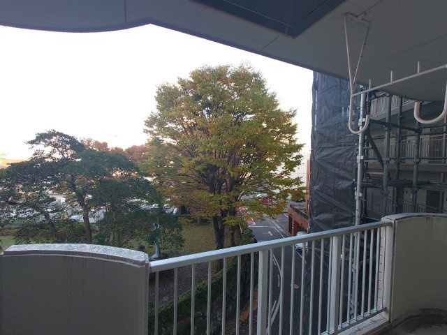 小坂プリンシアの展望