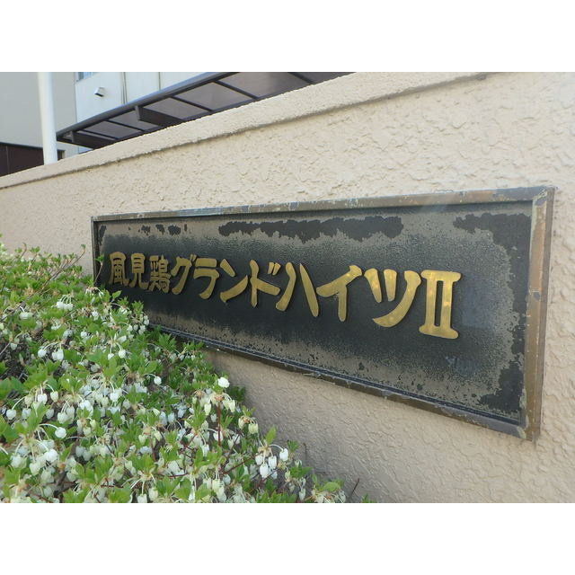 風見鶏グランドハイツⅡのその他