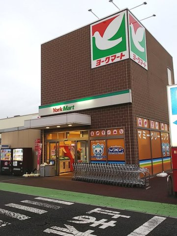 レオパレスフラワーコートの周辺