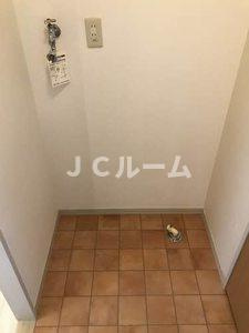 コスモスⅠのその他