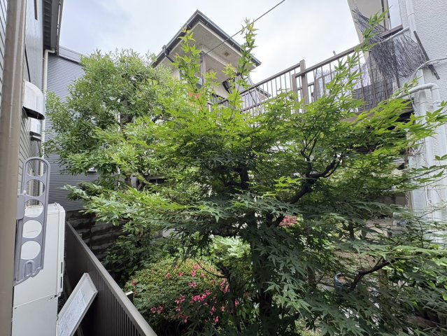 【展望】
