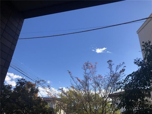 Ｊｃ　Ｓｔｒｅｅｔ　鶴瀬