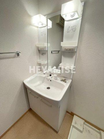 カレントハウス・ソレイユⅡの独立洗面台