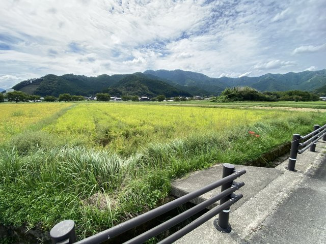 丹波市氷上町井中の中古一戸建のその他|農地2