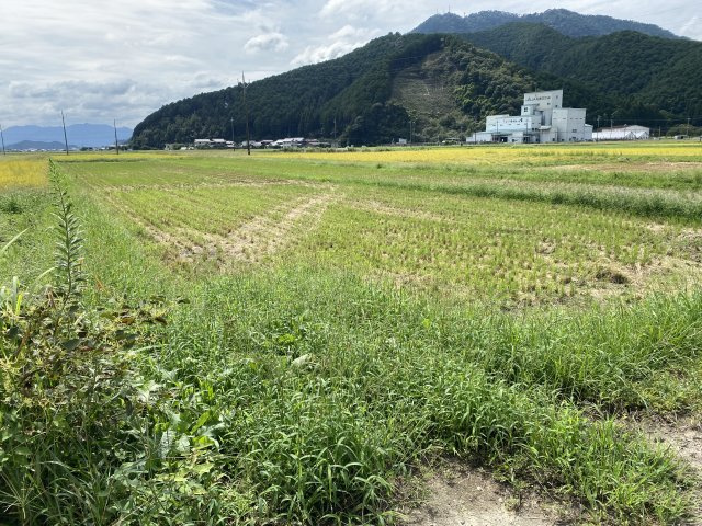 丹波市氷上町井中の中古一戸建のその他|農地3