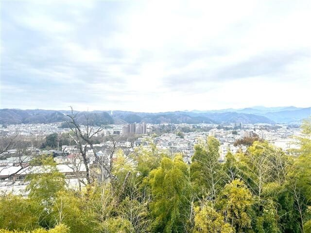 スカイマンション河辺の展望