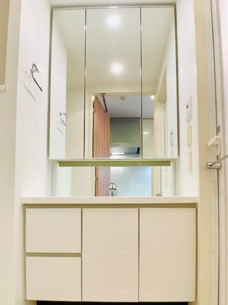 Ｂｒｉｌｌｉａ　ｉｓｔ　三軒茶屋　アイビーテラスの洗面所|スペースが確保できる洗面所です