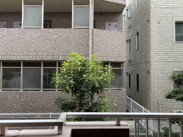 サニーヒル長後の展望