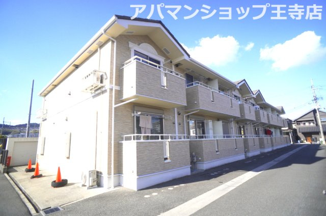 ピュア　コート　サクセス