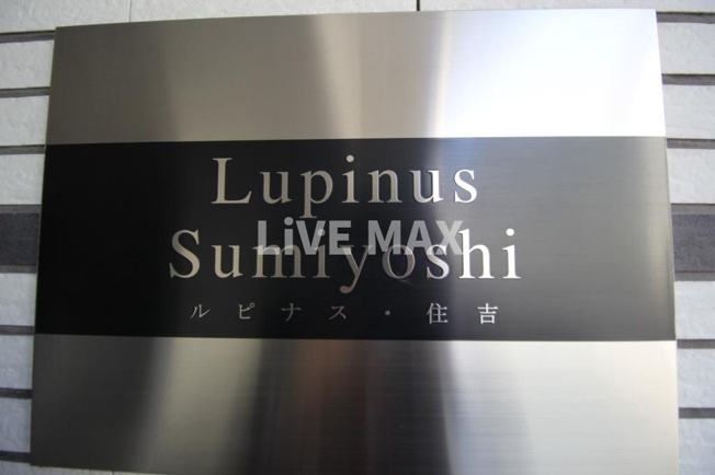 【その他】ルピナス・住吉