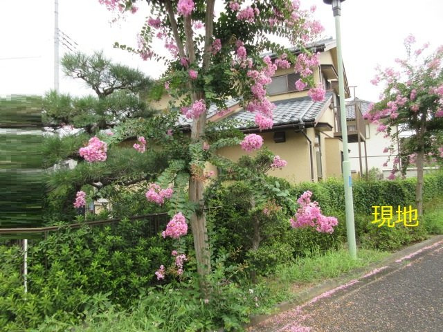 中古戸建　東松山市松風台3-26（期間限定現況販売）の外観