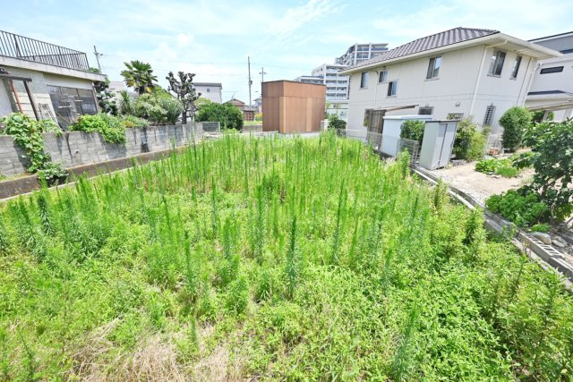 ハッピータウン伊丹昆陽東3丁目建築条件付き売土地の前面道路含む現地写真|平屋住宅の建物プラン例もご用意しています◎
建物仕様など、詳細はお気軽にお問い合わせください。