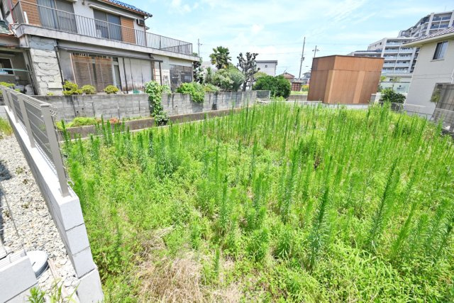 ハッピータウン伊丹昆陽東3丁目建築条件付き売土地の前面道路含む現地写真|敷地面積約233.26㎡のゆとりある土地。平屋住宅の建物プラン例もございます。ぜひ現地でも広さをご確認ください。