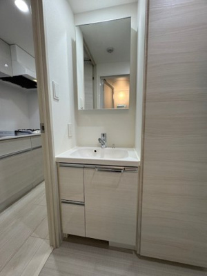 【洗面所】 | ブライズ西大井DUE | 別部屋参考写真