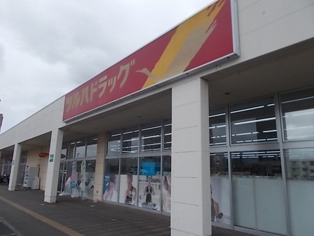 ボニート　Ａの周辺|ツルハドラッグ水戸赤塚店まで1000m