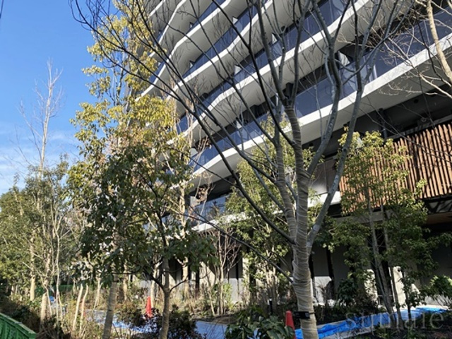ＲＪＲプレシア東十条ガーデンのその他|植栽☆