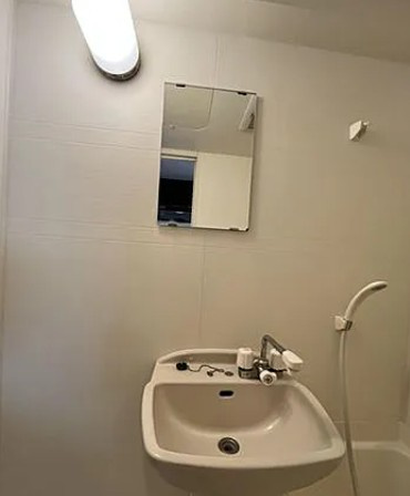 LaSante板橋本町の洗面所