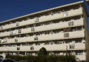 杉戸内田団地1号棟の画像
