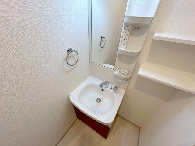 LaCASA新北野Ⅱの洗面所