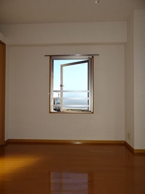プラシード輝のその他