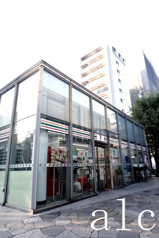 フェリスジェミニの周辺