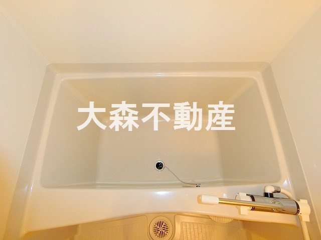 レジディア大森Ⅱの浴室