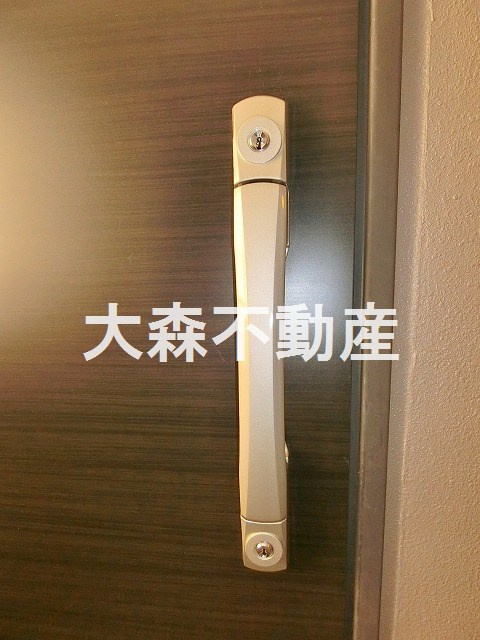 レジディア大森Ⅱの玄関
