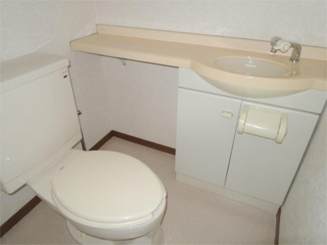 川崎市多摩区菅城下の賃貸マンションのトイレ