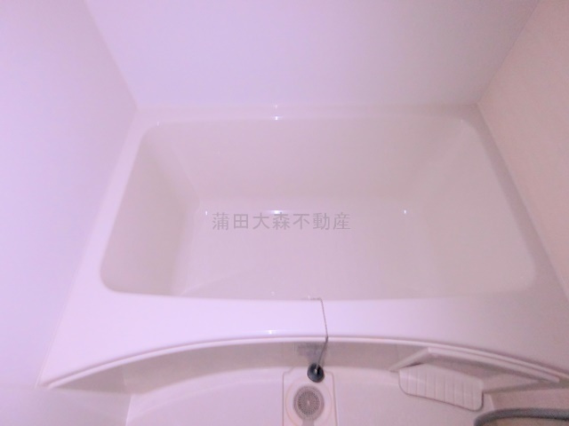 日興パレス羽田PARTⅡの浴室