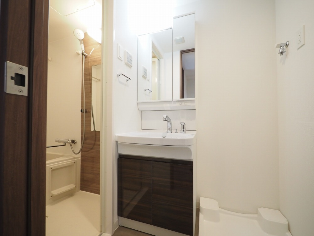 S-RESIDENCE布施aventraの洗面所