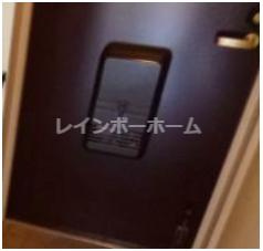 ヴェルドミールのその他