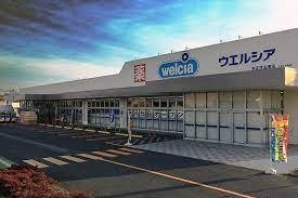 【周辺】 | グレース　ＳＧ | ウエルシア本庄児玉南店まで1100m