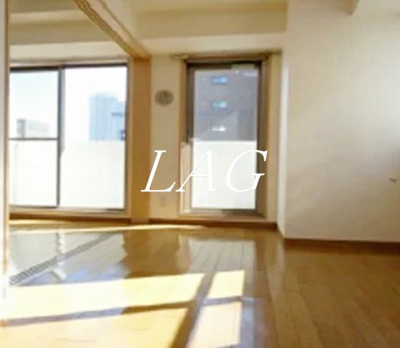 【居間・リビング】 | 銀座レジデンス壱番館 | 洋室のお部屋です。