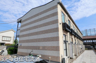 Ｐｉｎｅ　Ｌｉｋｅの画像