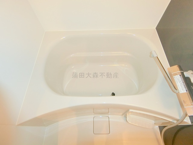 スプレスター大森山王の浴室