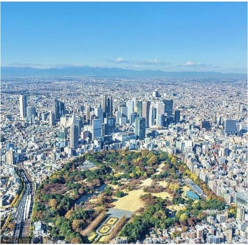 グランドメゾン新宿東の展望