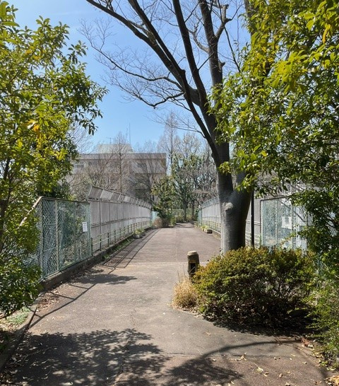 椿峰ニュータウン32街区3号棟の周辺|緑道