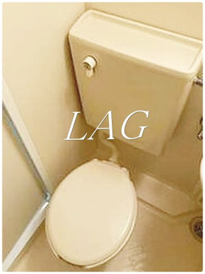 【トイレ】 | パークウェル西新宿 | トイレです。