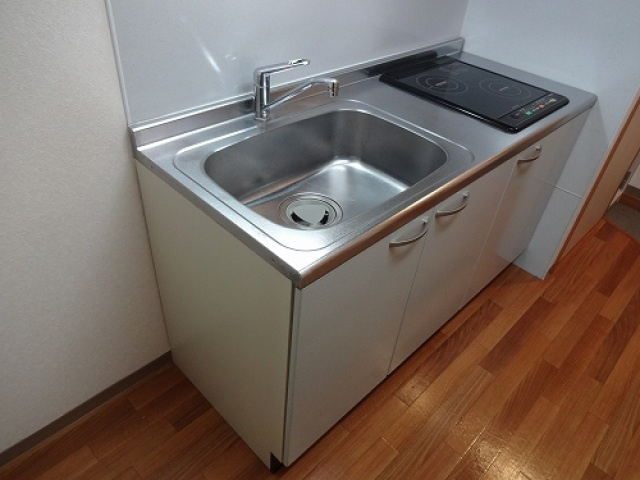アレグリアカーサのキッチン
