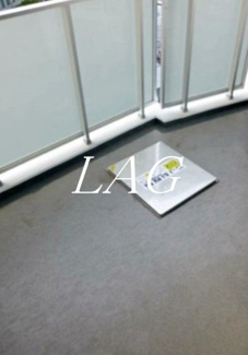 【バルコニー】 | ライオンズ千代田三崎町 | バルコニーです。