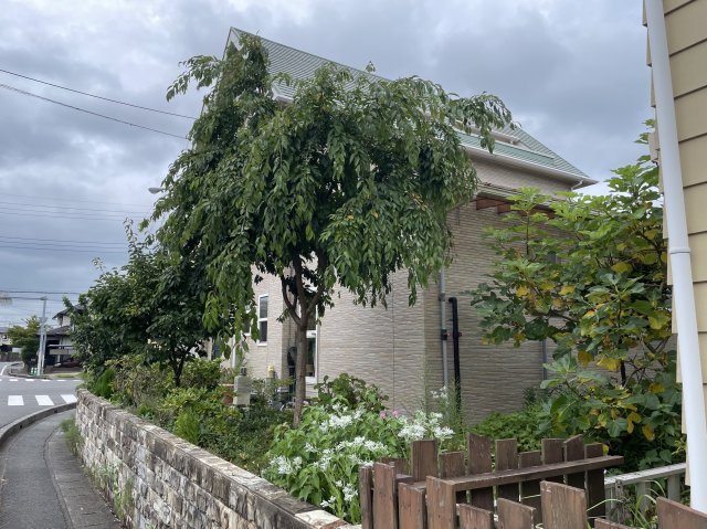 【外観】 | 東金市西福俵　中古戸建
