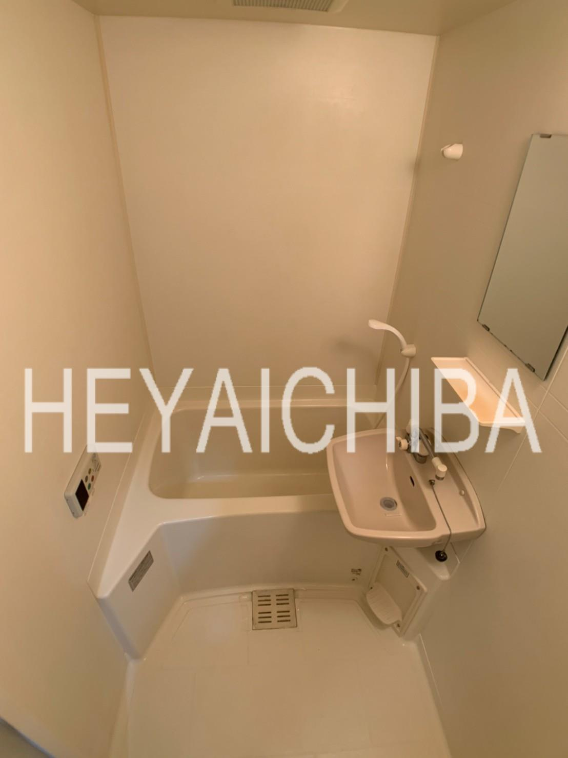 スカイコート本郷東大前壱番館の洗面所