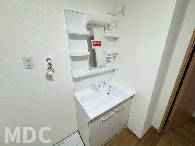 徳島市八万町下福万の賃貸マンションの洗面所