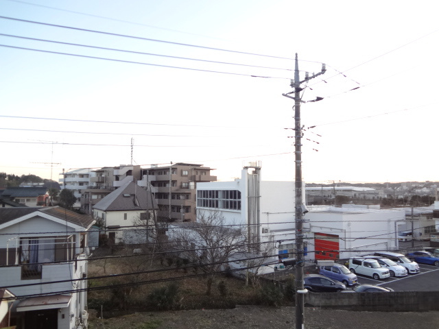 アルンディナリアCの展望