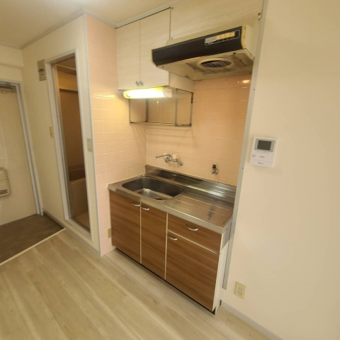 広島市安佐南区西原４丁目の賃貸マンションのキッチン
