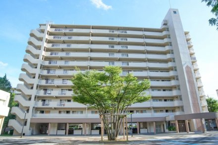 新蓮根団地第14号棟の外観