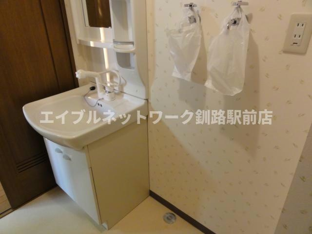 レジデンス寿の洗面所