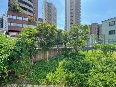 【展望】 | 第二福井マンション