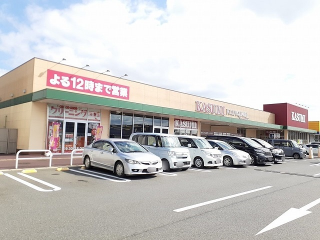 セイバリーⅡの周辺|その他