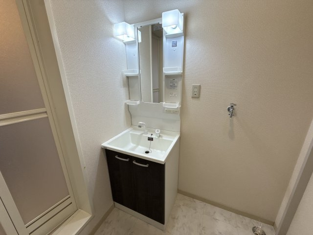 ジュネスのざとWESTの洗面所